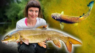 River Fishing - BIG FISH on the SURFACE!