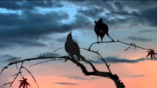 Singing Bowls at Sunset - Raga Bhopali