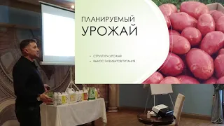 Картофель - Интенсивные технологии выращивания