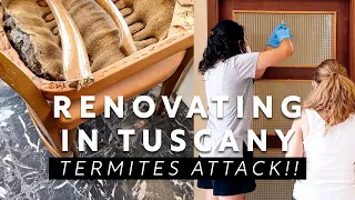 Renovating in Tuscany: FINALLY Back Home at our Villa… Termites Attack!