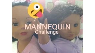 Ultimate Doll Mannequin Challenge!