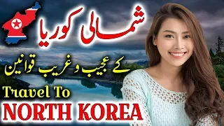 Travel To North Korea | History And Documentary About North Korea Urdu & Hindi | شمالی کوریا کی سیر