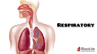 Respiratory CPT Medical Coding for the CPC and CCS Exams - Re-released