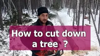 HOW TO CUT DOWN TREES WITH A CHAINSAW - the work of a lumberjack in woods RussianBlog-38