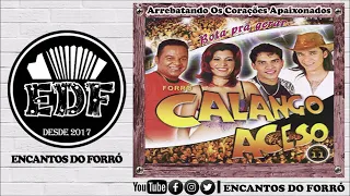 Forró Calango Aceso - Volume 11