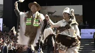 Bolivian president shows off dance moves at camelid celebrations | AFP