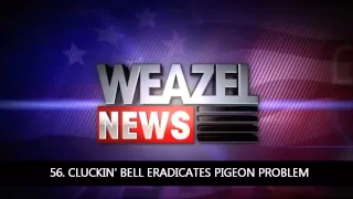 101 GTA IV Weazel News Reports