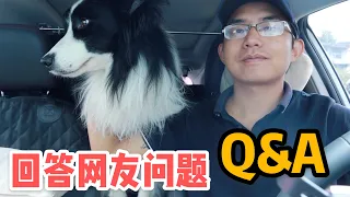 AL100集：Q&A 半斤最后跟谁？阿龙的收入多少？你想知道的都在这里，最后公布一个好消息