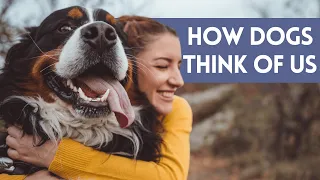 Do Dogs Think Humans Are Their Parents? - How DO They View Us