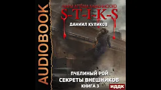 2003757 Куликов Даниил"Миры Артёма Каменистого. S-T-I-K-S. Пчелиный Рой. Книга 3. Секреты внешников"