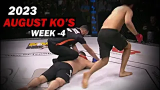 MMA & Boxing Knockouts I August 2023 Week 4
