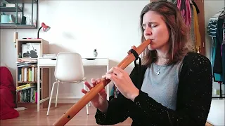 Kebych byla jahodú (Native american flute)