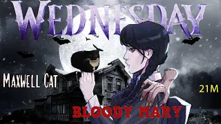 Maxwell Cat Sings Lady GaGa-Bloody Mare Wednesday