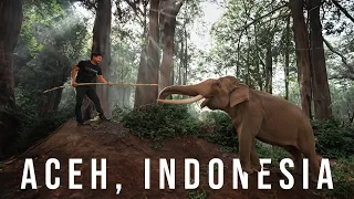 Aceh Indonesia - Menarik BANGAT Budaya Aceh! Tidur dengan GAJAH!