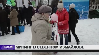 Митинг против вырубки деревьев в Северном Измайлове