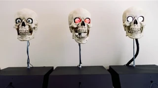 Talking Skull Overview - Our Three Models of Automatic Talking Skulls for Halloween 2019!