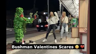 Bushman breaks hearts on Valentines! 🌹💔
