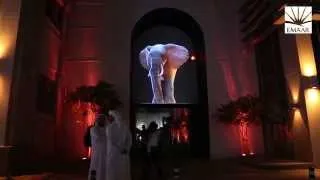 Best of The Dubai Festival of Lights 2014