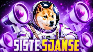 DOGVERSE MEMECOINEN FORTSETTER Å VOKSE (Siste Sjanse på Meme Mynt Presale)