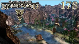 Morrowind Tamriel Rebuilt ► Снова на восток! 116 (178)