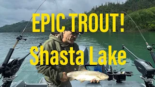 Epic Trout Fishing on Shasta Lake