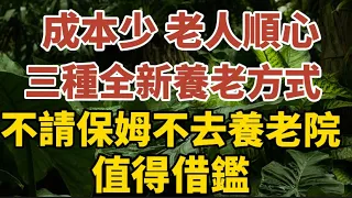 成本少、老人順心，三種全新養老方式，不請保姆 不去養老院，值得借鑑！【中老年心語】#養老 #幸福#人生 #晚年幸福 #深夜#讀書 #養生 #佛 #為人處世#哲理