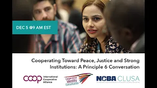 Cooperating Toward Peace, Justice and Strong Institutions: A Principle 6 Conversation