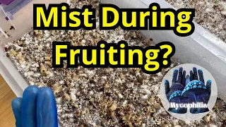 Should You Mist During Fruiting?