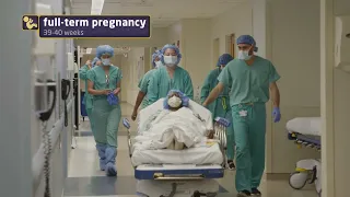 C-Section and Hysterectomy | Inside the OR