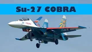 Su-27 Flanker Pugachev's Cobra Maneuver