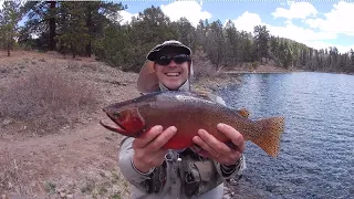 Alpine lake fly fishing for Tigers, Brooks and Cutts