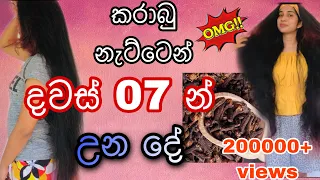 දවස් 07 ක් කරපු කරාබු නැටි hair challenge එක|cloves for hair growth and prevent hair loss