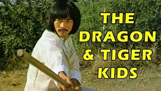 Wu Tang Collection - DRAGON AND TIGER KIDS