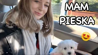 VLOG - REAKCJA MAMY NA PSA 🐶😱☺️🤩❤️