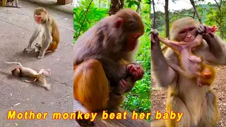 The poor baby monkey was treated badly by the mother monkey, so he cried loudly