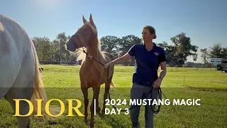 Dior Vlog Day 3: 2024 Mustang Magic Makeover