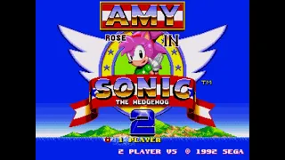 Amy Rose In Sonic The Hedgehog 2 Rev 1 6