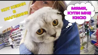 С котом вход разрешен! Кевин-путешественник | Распаковка | Посылка от подписчицы