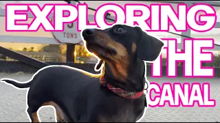 Walkies! - Exploring the Canal - SlowTV