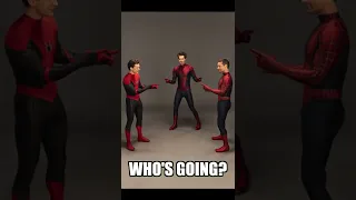 Spider-Man: No Way Home: The More Fun Stuff Version