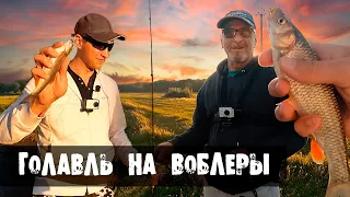 Рыбалка на голавля с каналом Рыбалка с Робертом. Воблеры на голавля. Лето 2021