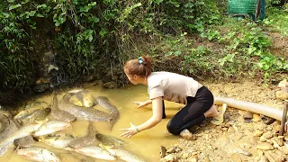 Unique Fishing videos! Amazing Experience Fishing With The Best Pump, Catching A Lot Of Fish #fish