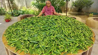 Kurkuri Bhindi Recipe | 100Kg Bhindi Bhajji | Crispy Okra Bhindi Kurkuri | Okra or Bhindi Fry