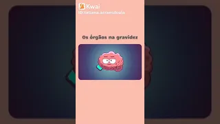 Os órgãos na gravidez 1/3