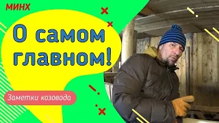 Уборка в козлятнике) отвечаю зрителям