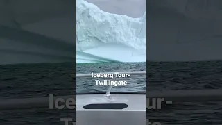 Exciting boat tour around a giant iceberg at Twillingate, NL, Canada