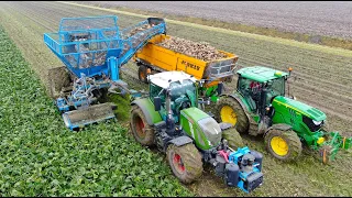 Suger beet Harvest | Edenhall 754 Four-Row trailed beet harvester | Fendt 724 & John Deere 6140R