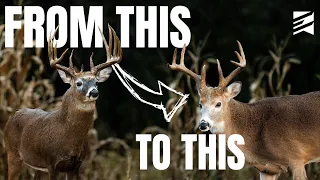 How to RUIN Your Deer Hunting with MANAGEMENT?!