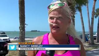 New hotel on Causeway to Honeymoon Island brings joys, concerns to Dunedin residents