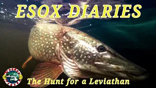 Esox Diaries S2 Ep:2 | PIKE FISHING from the Bank and Boat | ESOX LUCIUS | The Lake of Menteith